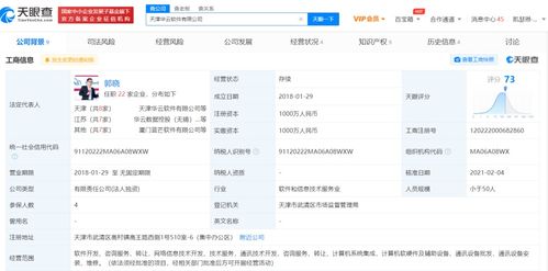計(jì)算機(jī)軟件咨詢(xún) 助力企業(yè)數(shù)字化轉(zhuǎn)型與高效運(yùn)營(yíng)